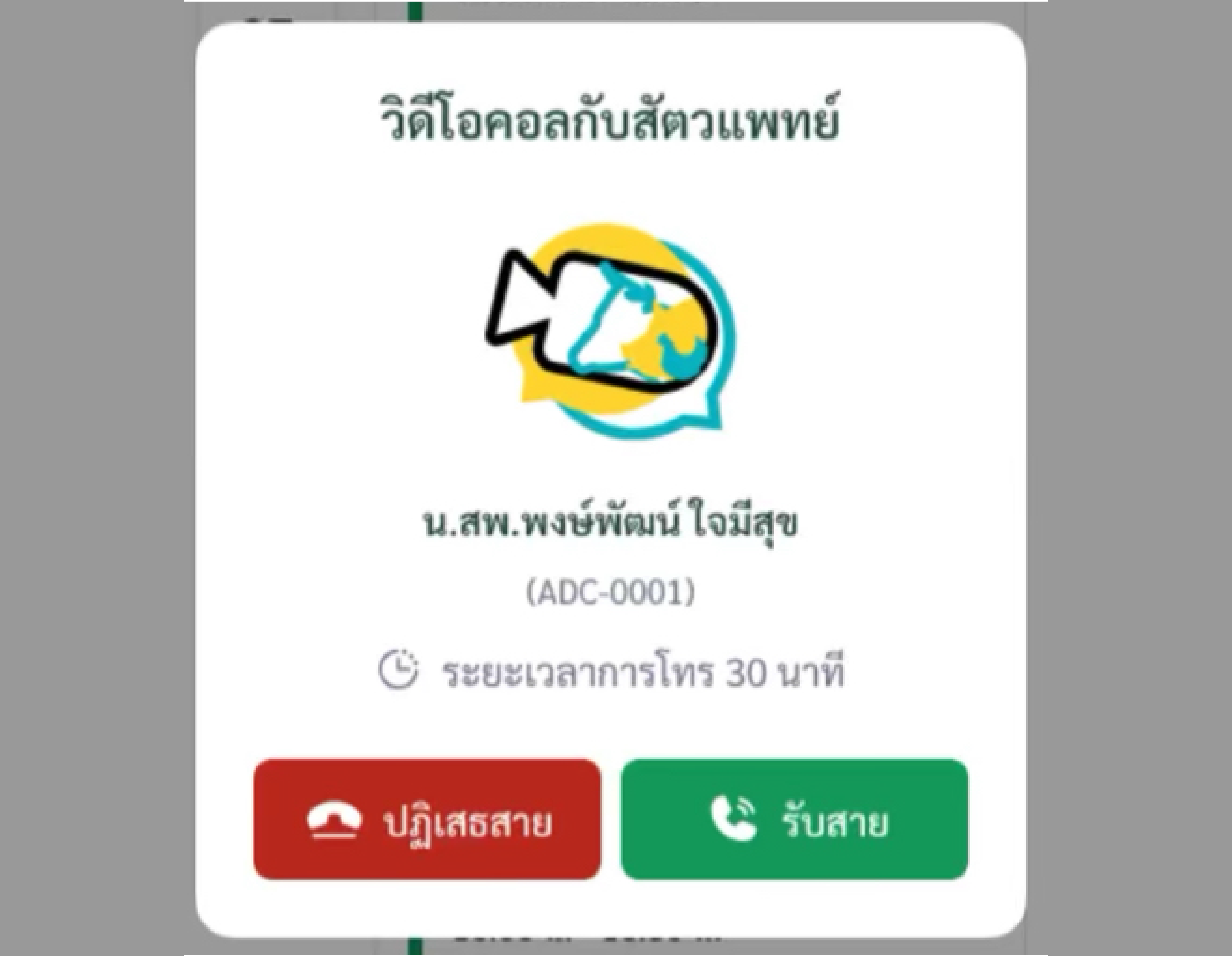 DLD Televet System Interface