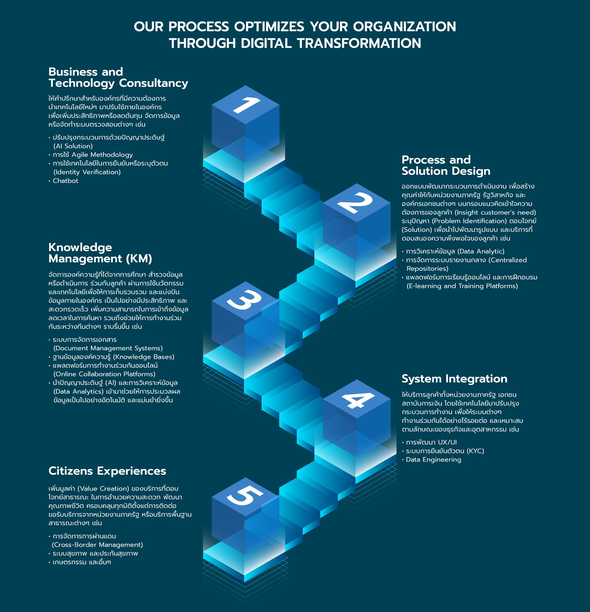 What We Do - Our Services